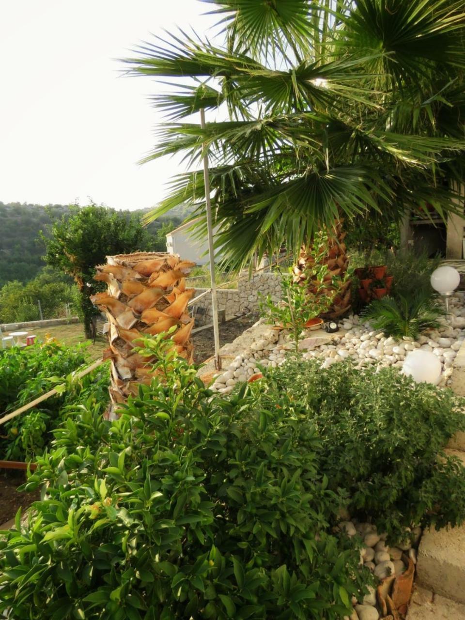 Vila Mozara Slano Bagian luar foto